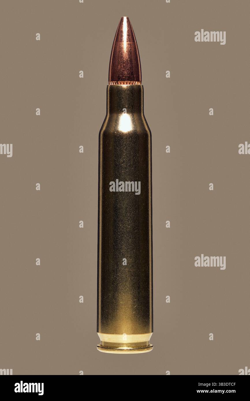 Gros plan studio shot .223 cartouche de fusil Banque D'Images
