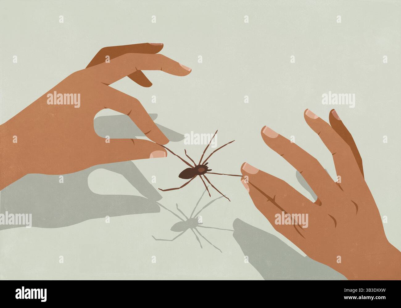 Mains étirant les jambes de l'araignée Banque D'Images