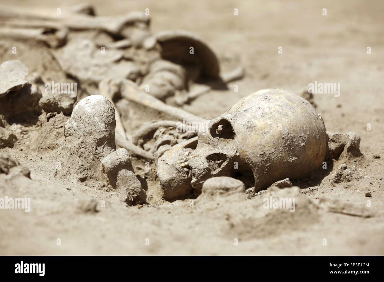 Un squelette néolithique précoce supposé être de plus de 7 600 ans est vu dans le district de Slatina à Sofia, Bulgarie, Europe Banque D'Images