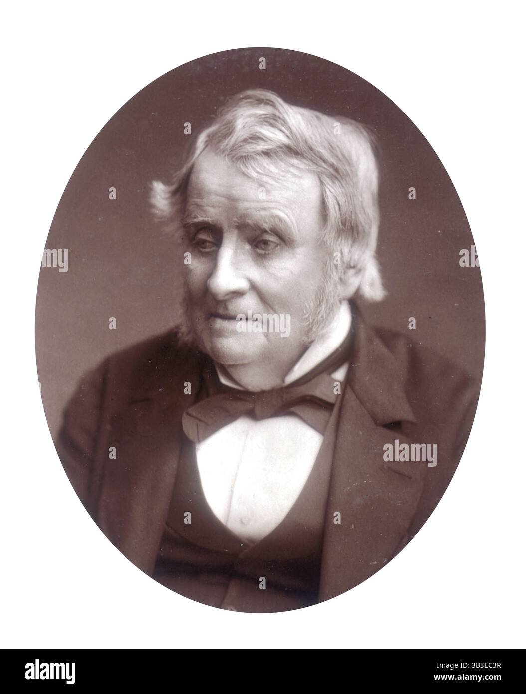 John Arthur Roebuck, député, 1881. Roebuck (1801-1879) est député de Bath et Sheffield. En 1855, il préside une Commission parlementaire d'enquête sur la mauvaise gestion de la guerre de Crimée. Roebuck avait la réputation à la Chambre des communes de poser des questions hostiles aux gouvernements de tous les partis. Banque D'Images