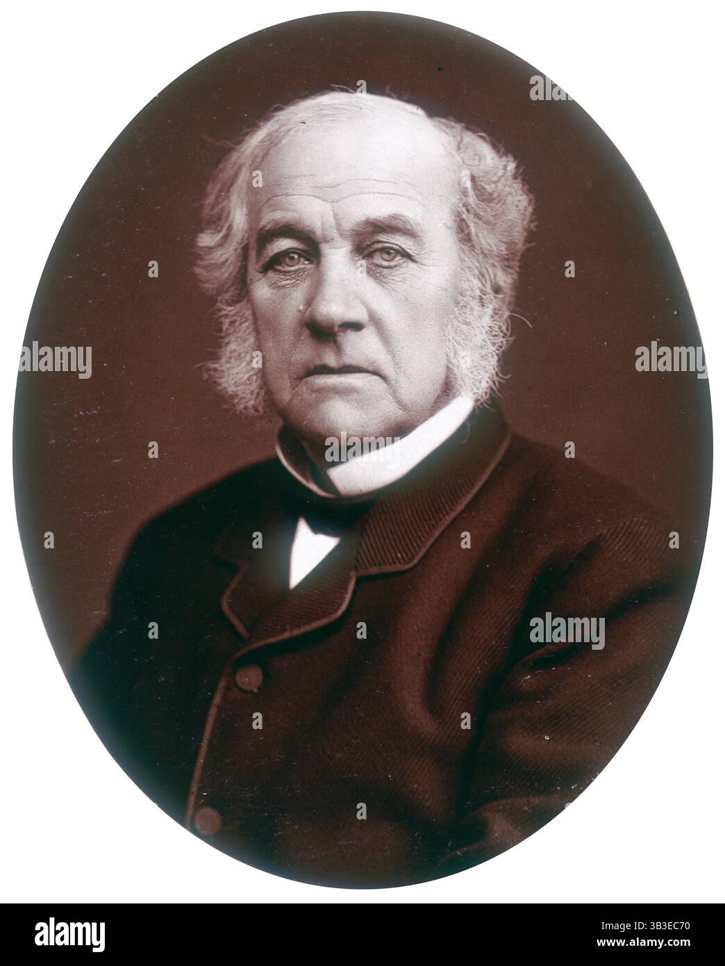 Samuel Morley, député, industriel et homme politique, 1882. Morley (1809-1886) était propriétaire d'une grande et rentable entreprise de fabrication de laine qui employait des milliers de travailleurs dans les East Midlands. Considéré comme un employeur modèle, Morley était également un philanthrope actif. Politiquement libéral et fervent partisan de Gladstone, il est élu pour la première fois au Parlement en tant que député de Nottingham en 1865. À partir de 1868-1885, il représente l'une des circonscriptions de Bristol. Banque D'Images