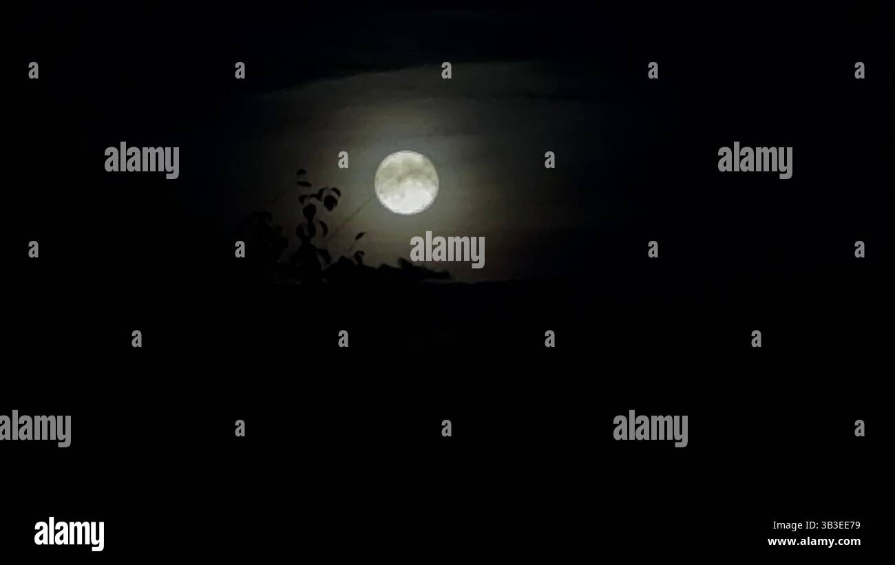 Silence pleine lune - Image de stock capturée avec un smartphone