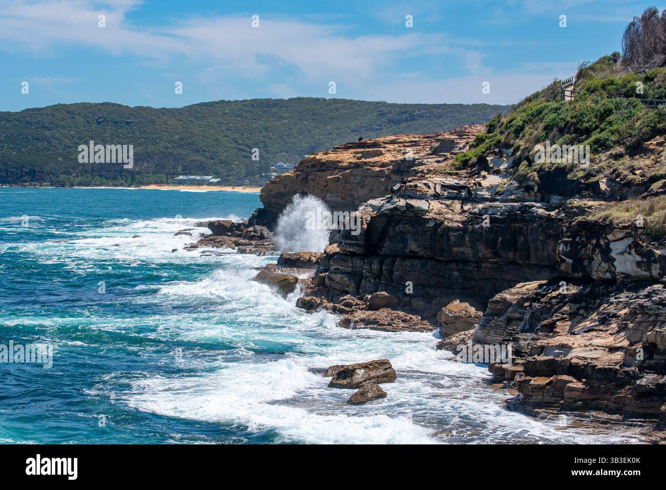 Vue vers le sud le long de la promenade côtière de Bouddi dans le parc national de Bouddi sur la côte centrale de la Nouvelle-Galles du Sud, Australie Banque D'Images