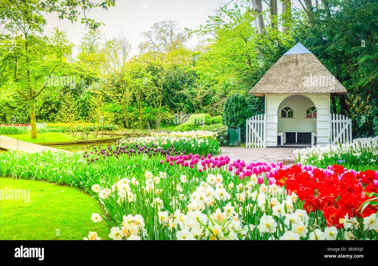Tulipes rouges, roses, rouges, violettes colorées avec puits dans le jardin formel de printemps Banque D'Images Tulipes rouges, roses, rouges, violettes colorées avec puits dans le jardin formel de printemps Banque D'Images