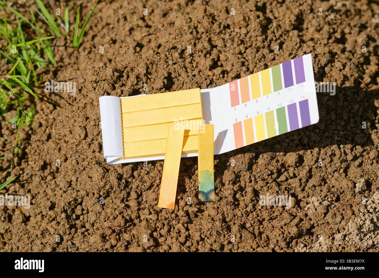 Un kit de test de papier tournesol sur terre humide. Déterminer l'acidité ou l'alcalinité ou la neutralité par l'humidité. Test de sol. Banque D'Images