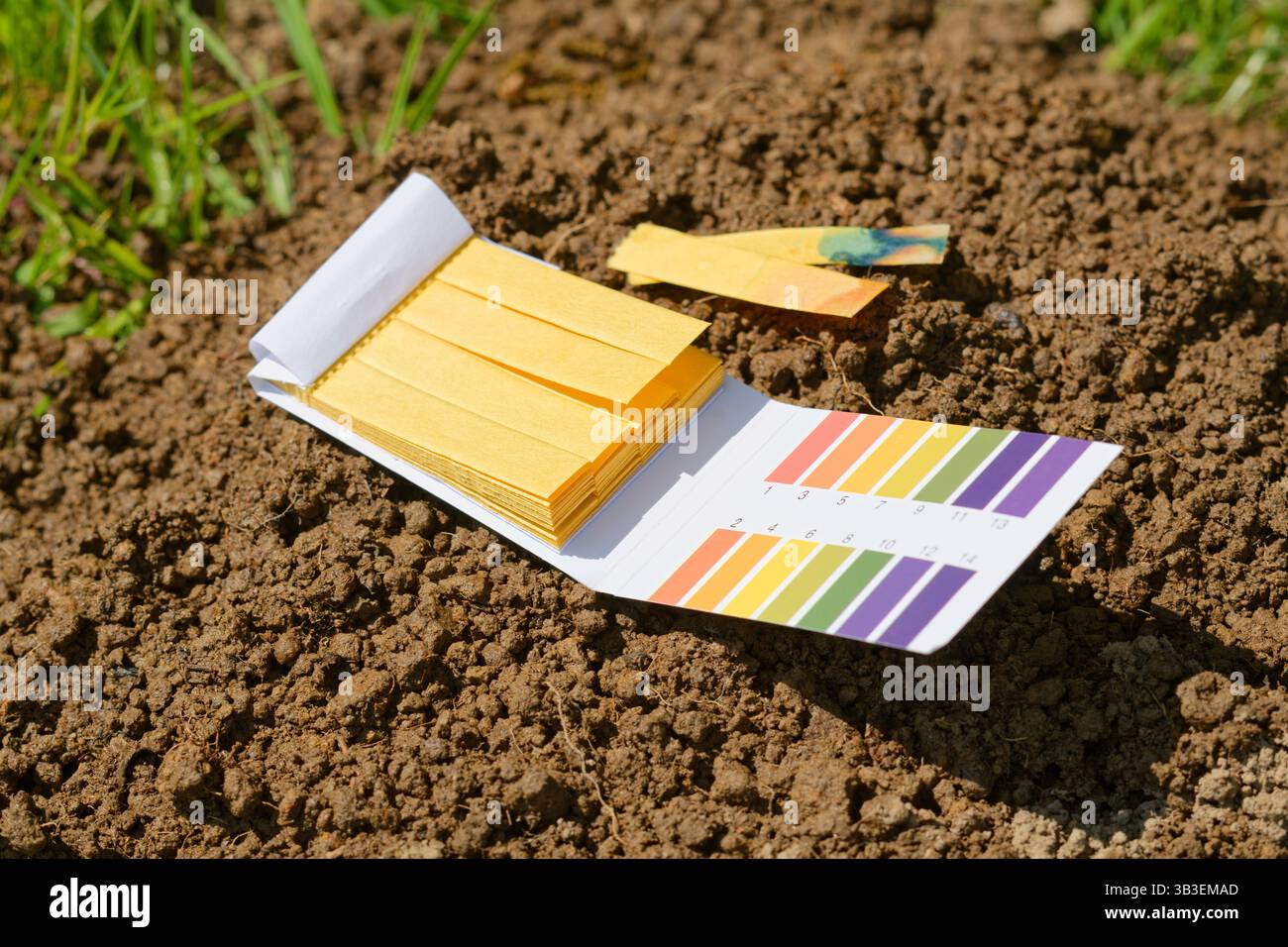 Un kit de test de papier tournesol sur terre humide. Déterminer l'acidité ou l'alcalinité ou la neutralité par l'humidité. Test de sol. Banque D'Images