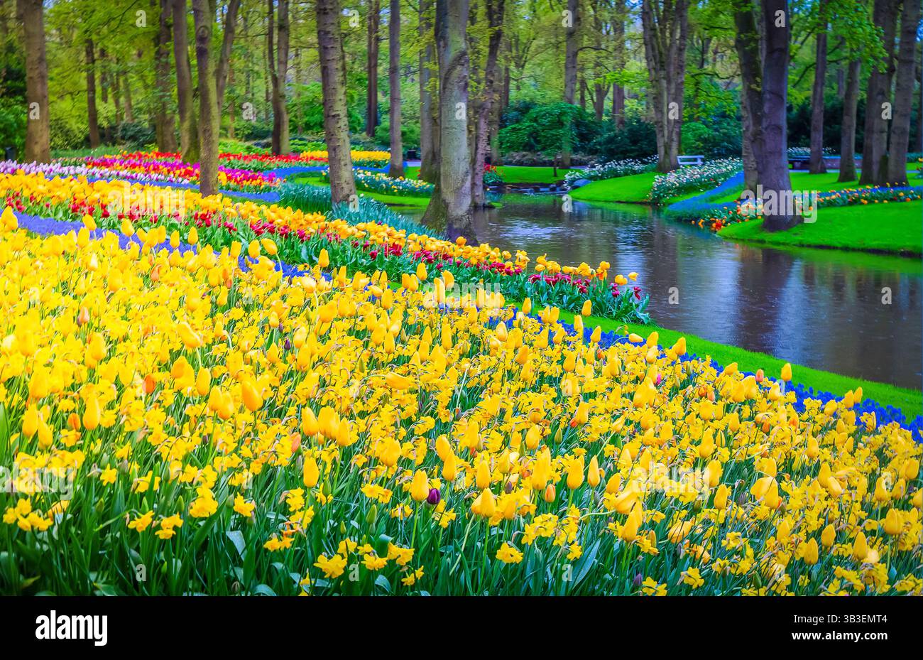Parterre de fleurs jaune et bleu de croissance coloré dans le jardin formel de printemps avec rivière Banque D'Images Parterre de fleurs jaune et bleu de croissance coloré dans le jardin formel de printemps avec rivière Banque D'Images