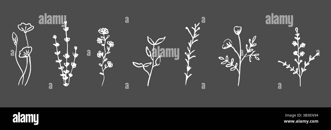 Herbes sauvages de la forêt et fleurs vintage texturé dessin à la craie. Silhouette de flore rétro de ligne d'herbe. Crayon doodle dessiné à la main. Illustration vectorielle Illustration de Vecteur