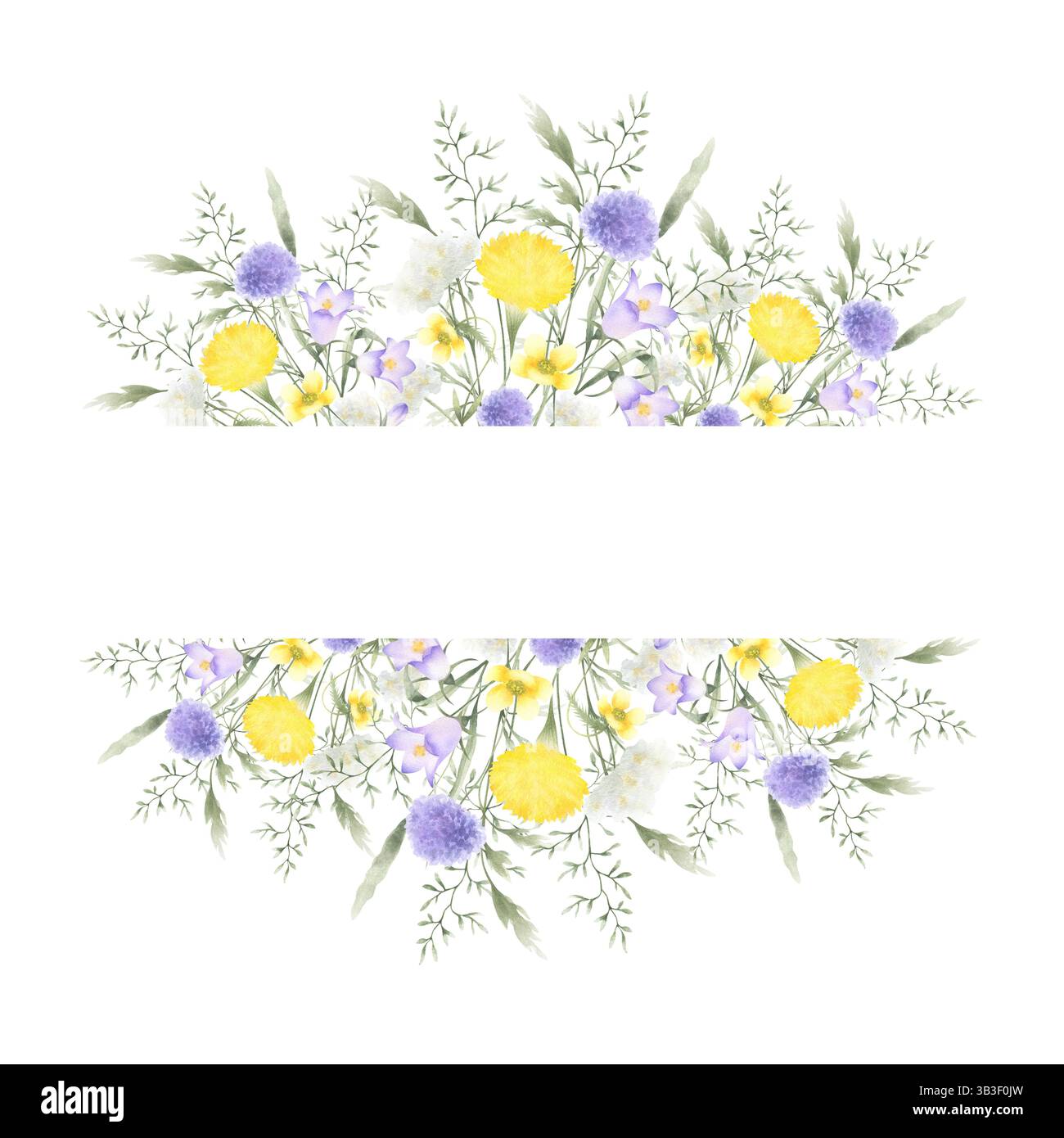 Fleurs sauvages chellflower, pissenlit, verruelle et herbes de prairie. Cadre rectangulaire aquarelle isolé dessiné à la main de fleurs de champ de lilas jaune avec copie Banque D'Images