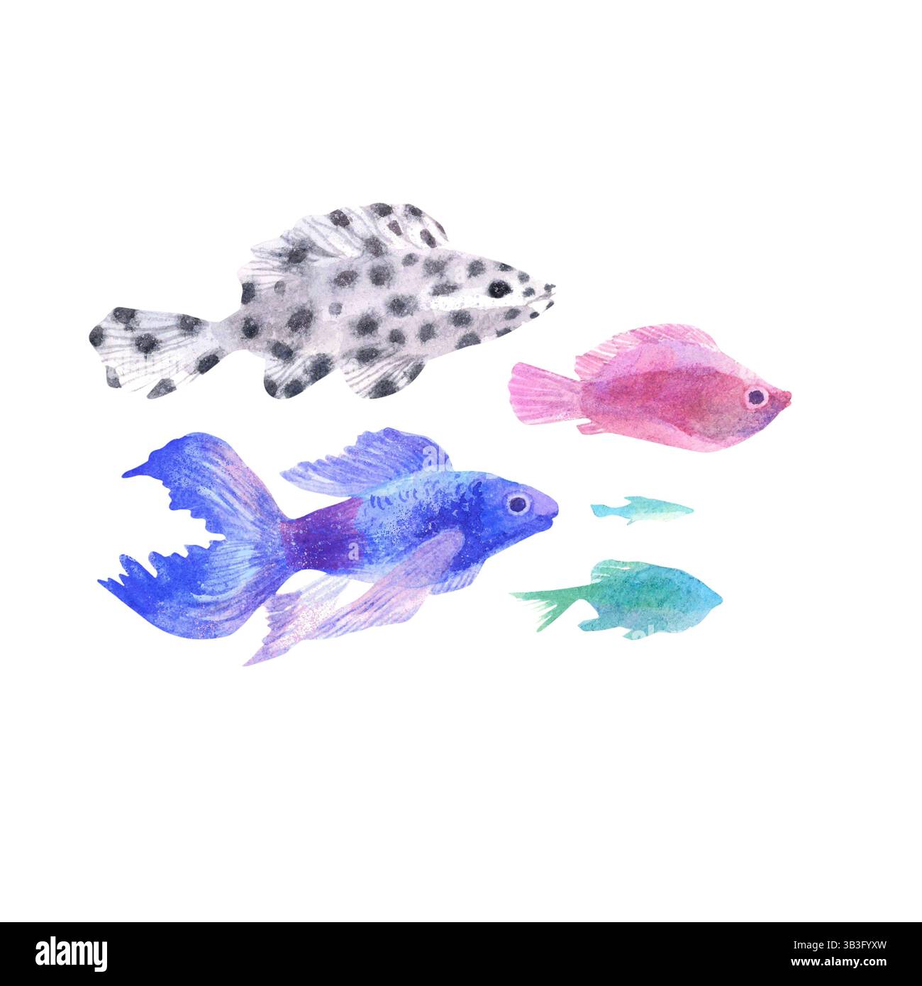 Ensemble de poissons aquarelle peints à la main Banque D'Images