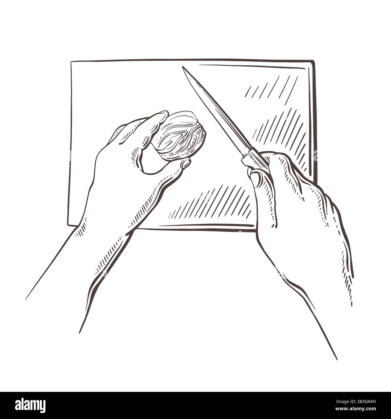Main humaine et couteau, oignon. Gravure vintage isolée sur fond blanc. Esquisse graphique dessinée à la main. Vue de dessus. Cuire et traiter couper à bord Illustration de Vecteur