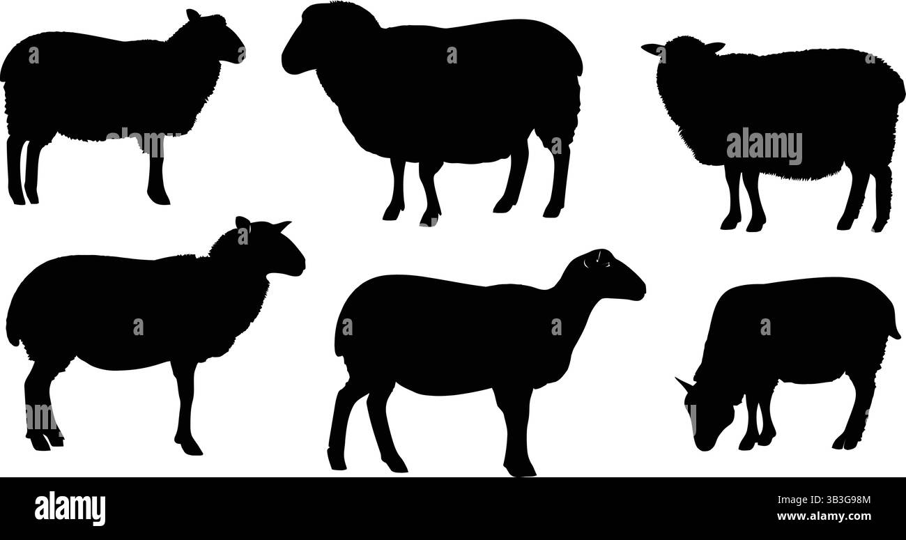 Collection de diverses silhouettes de moutons et de béliers, illustration vectorielle Illustration de Vecteur