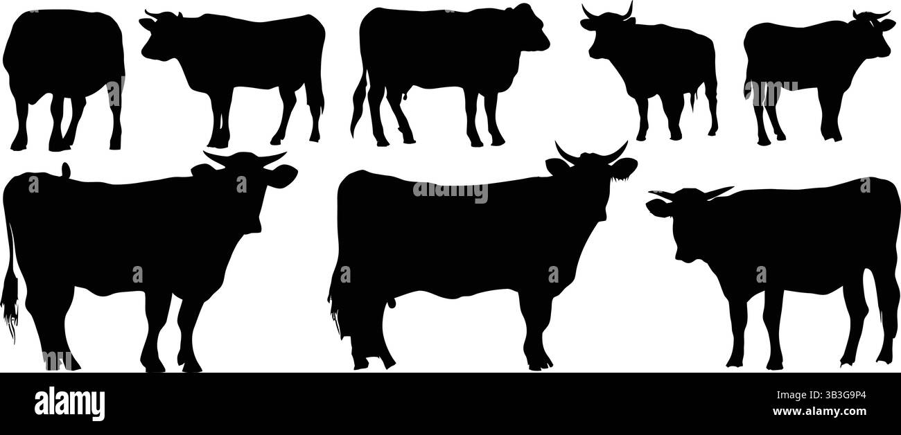 Ensemble de silhouettes de vache dans diverses poses, illustration vectorielle Illustration de Vecteur