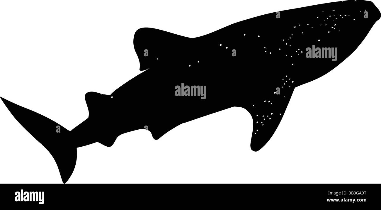 Graphique vectoriel d'une icône de requin baleine isolé sur un fond blanc Illustration de Vecteur