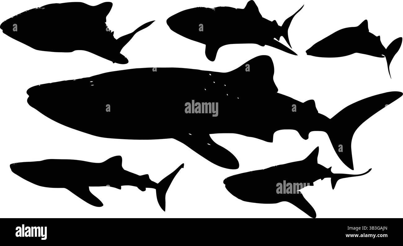 Collection dynamique de diverses silhouettes de poisson et de requin mettant en valeur la vie marine sous-marine Illustration de Vecteur