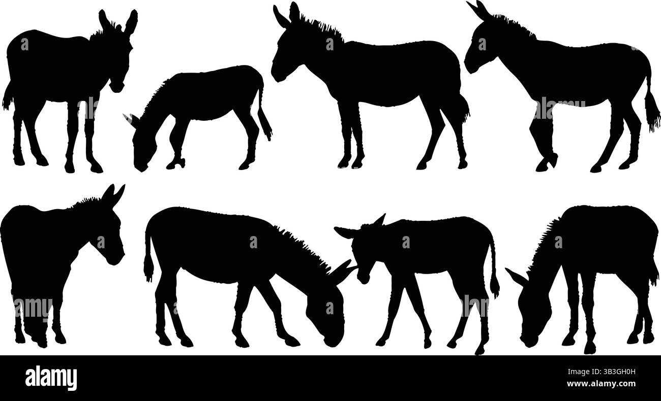 Ensemble détaillé de silhouettes de cheval de galopage et de marche et poulain illustrant Illustration de Vecteur