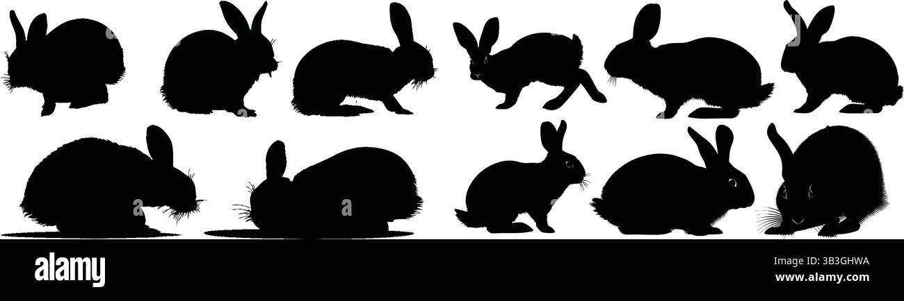 Collection de plusieurs silhouettes de lapin noir représentant diverses poses et actions Illustration de Vecteur