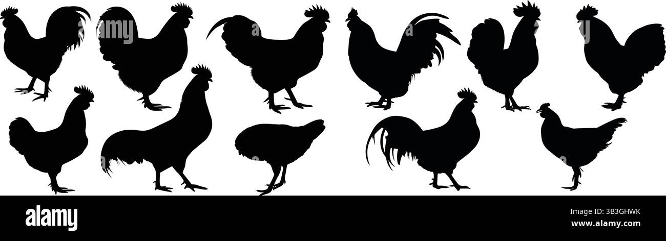 Illustration de silhouette de diverses formes de coq Illustration de Vecteur