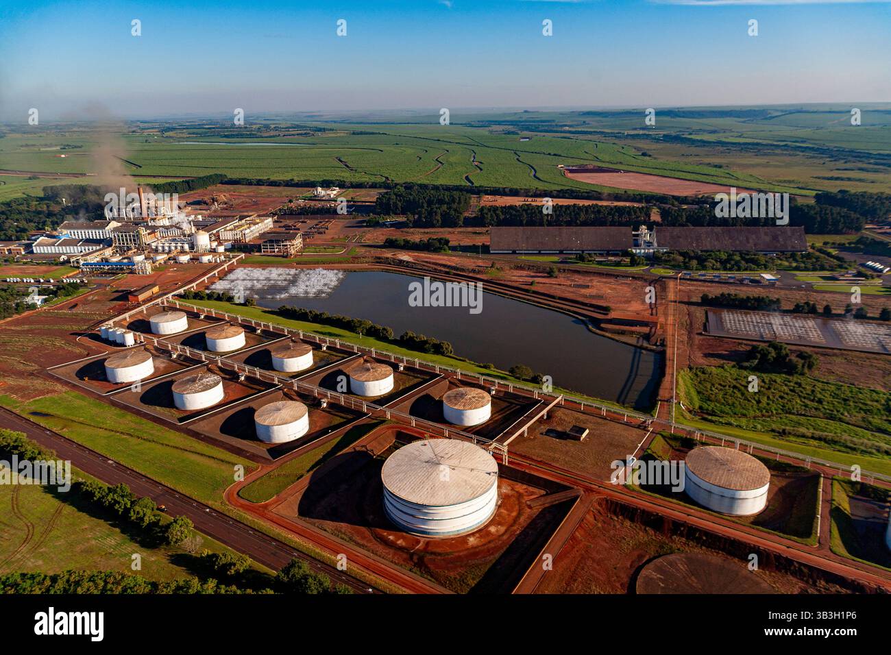 Vue aérienne mettant en évidence la vaste gamme de réservoirs cylindriques de stockage d'éthanol à l'usine d'éthanol et de sucre de São Martinho dans l'État de São Paulo. Banque D'Images
