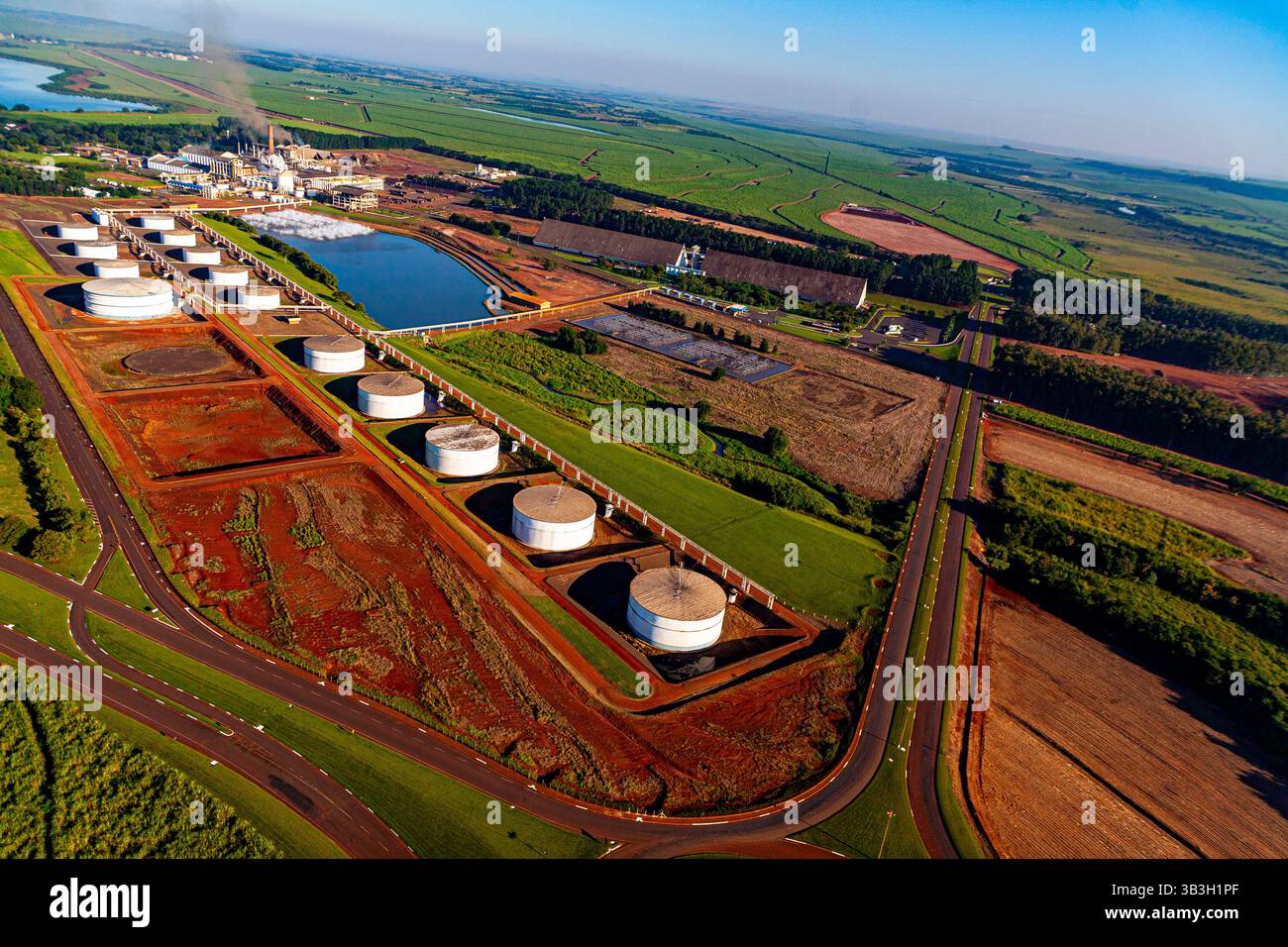 Vue aérienne mettant en évidence la vaste gamme de réservoirs cylindriques de stockage d'éthanol à l'usine d'éthanol et de sucre de São Martinho dans l'État de São Paulo. Banque D'Images