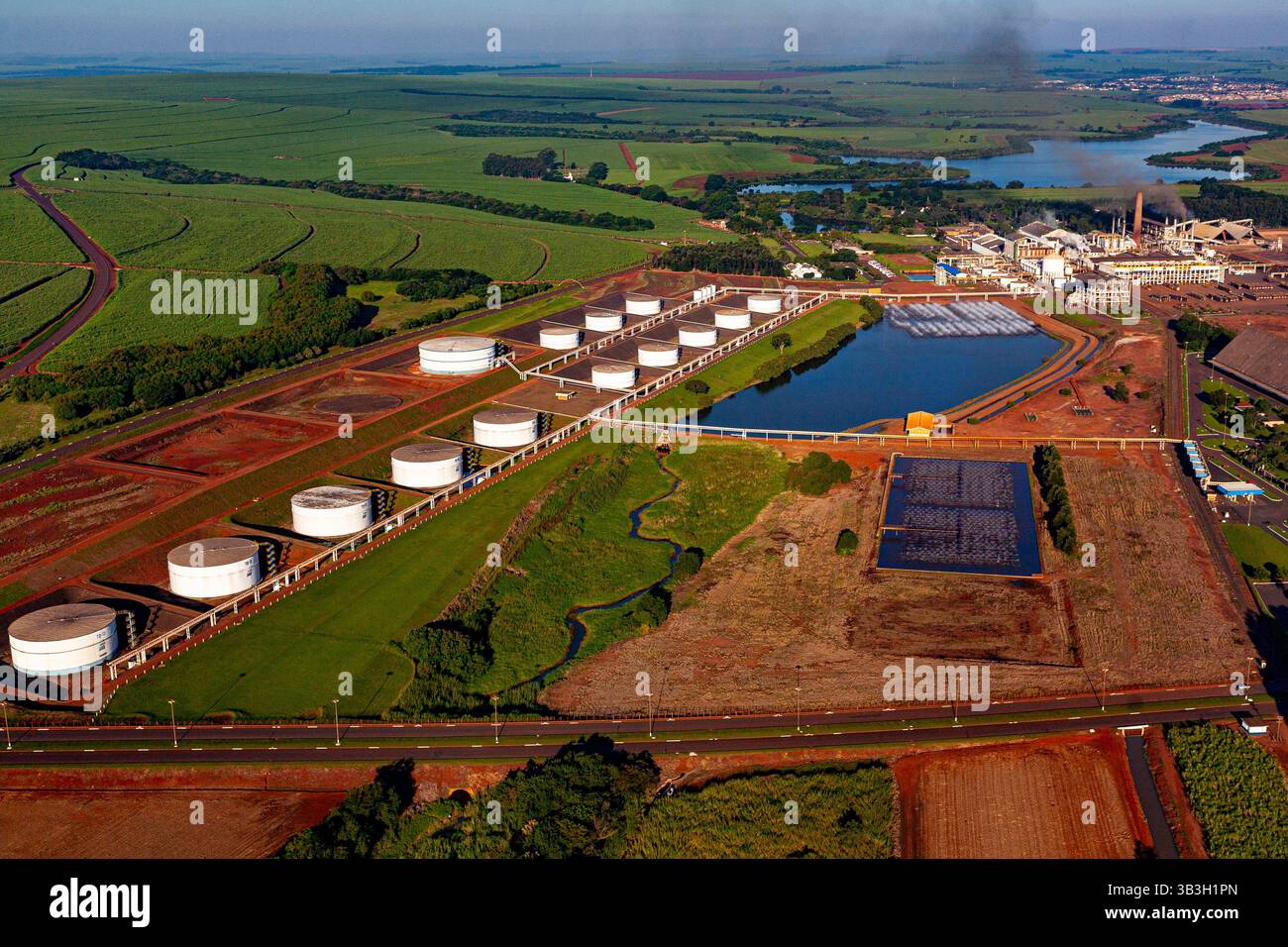 Vue aérienne mettant en évidence la vaste gamme de réservoirs cylindriques de stockage d'éthanol à l'usine d'éthanol et de sucre de São Martinho dans l'État de São Paulo. Banque D'Images