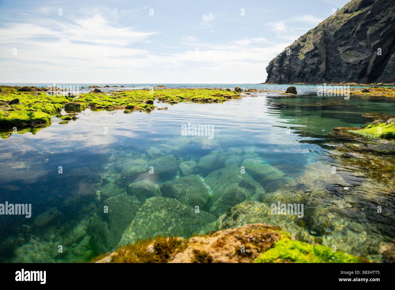 Cette photo côtière grand angle capture les diverses textures et les verts vibrants des formations d'algues intertidales le long du rivage de Playa de los Muertos Banque D'Images
