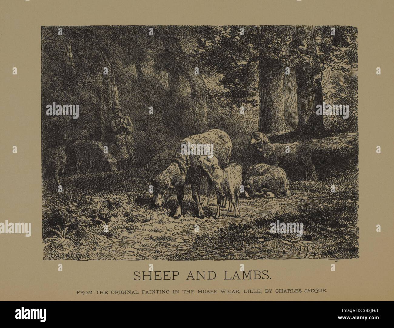 12 septembre 2017 - moutons et agneaux, gravure sur bois à partir de la peinture originale de Charles Jacque, les chefs-d'œuvre de l'art français de Louis Viardot, publié par gravure Goupil et Cie, Paris, 1882, Gebbie & Co, Philadelphie, 1883 (crédit image : © JT Vintage/Glasshouse via ZUMA Wire) Banque D'Images