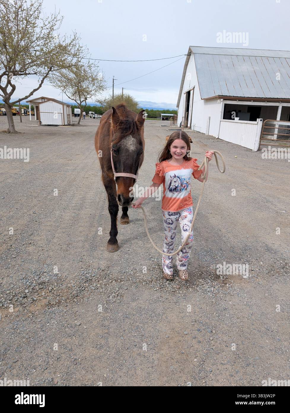 Une jeune fille et son cheval Banque D'Images