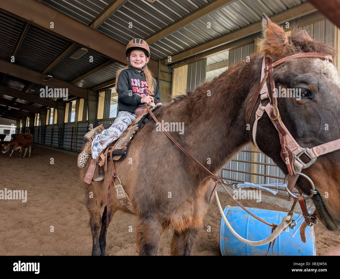 Une jeune fille et son cheval Banque D'Images