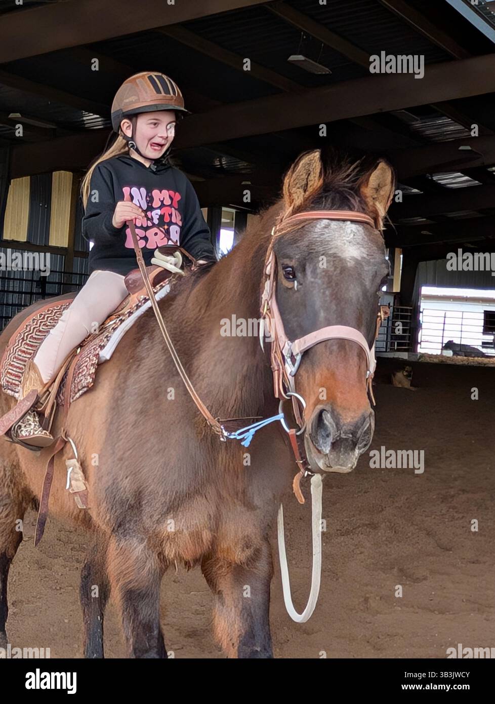 Une jeune fille et son cheval Banque D'Images