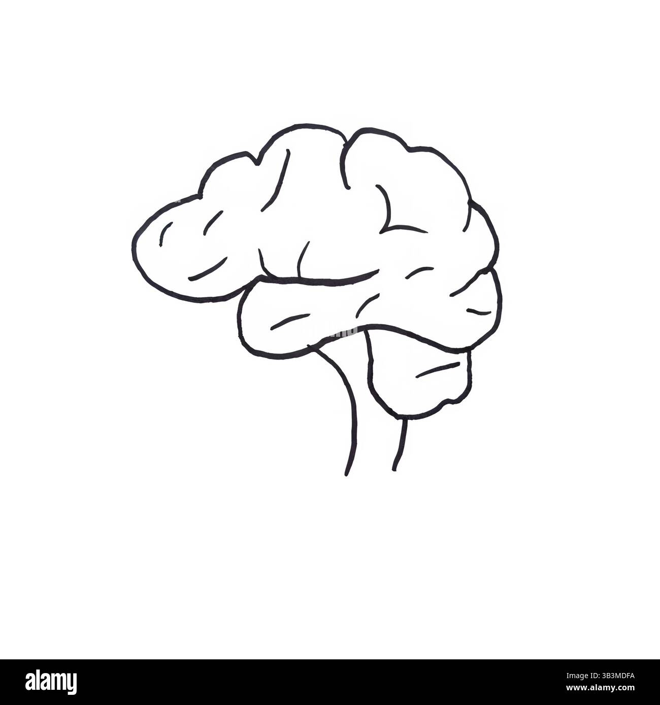 Illustration de contour de cerveau minimal, simple dessin de ligne noire du cerveau humain Banque D'Images