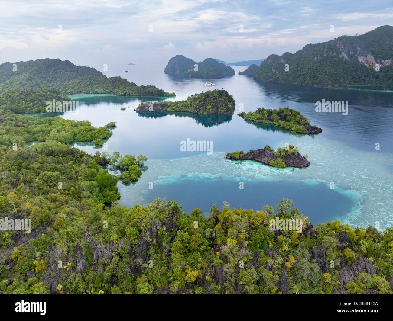 Des îles de calcaire accidentées naissent des mers chaudes de Misool, Raja Ampat. Cette région tropicale est une destination populaire pour les plongeurs et les plongeurs. Banque D'Images