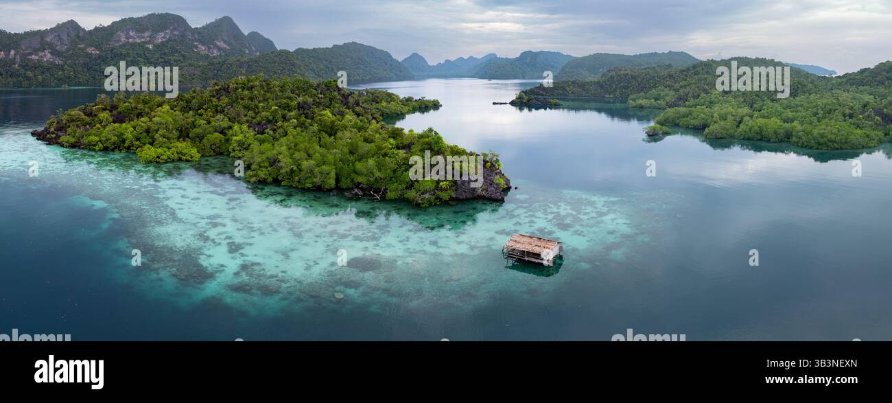 Des îles de calcaire accidentées naissent des mers chaudes de Misool, Raja Ampat. Cette région tropicale est une destination populaire pour les plongeurs et les plongeurs. Banque D'Images