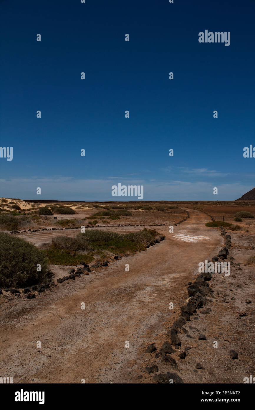 Des chemins de terre courbes coupent à travers le terrain volcanique aride, encadrés par une végétation désertique clairsemée et entourés d'un espace ouvert sous un ciel vibrant. Banque D'Images