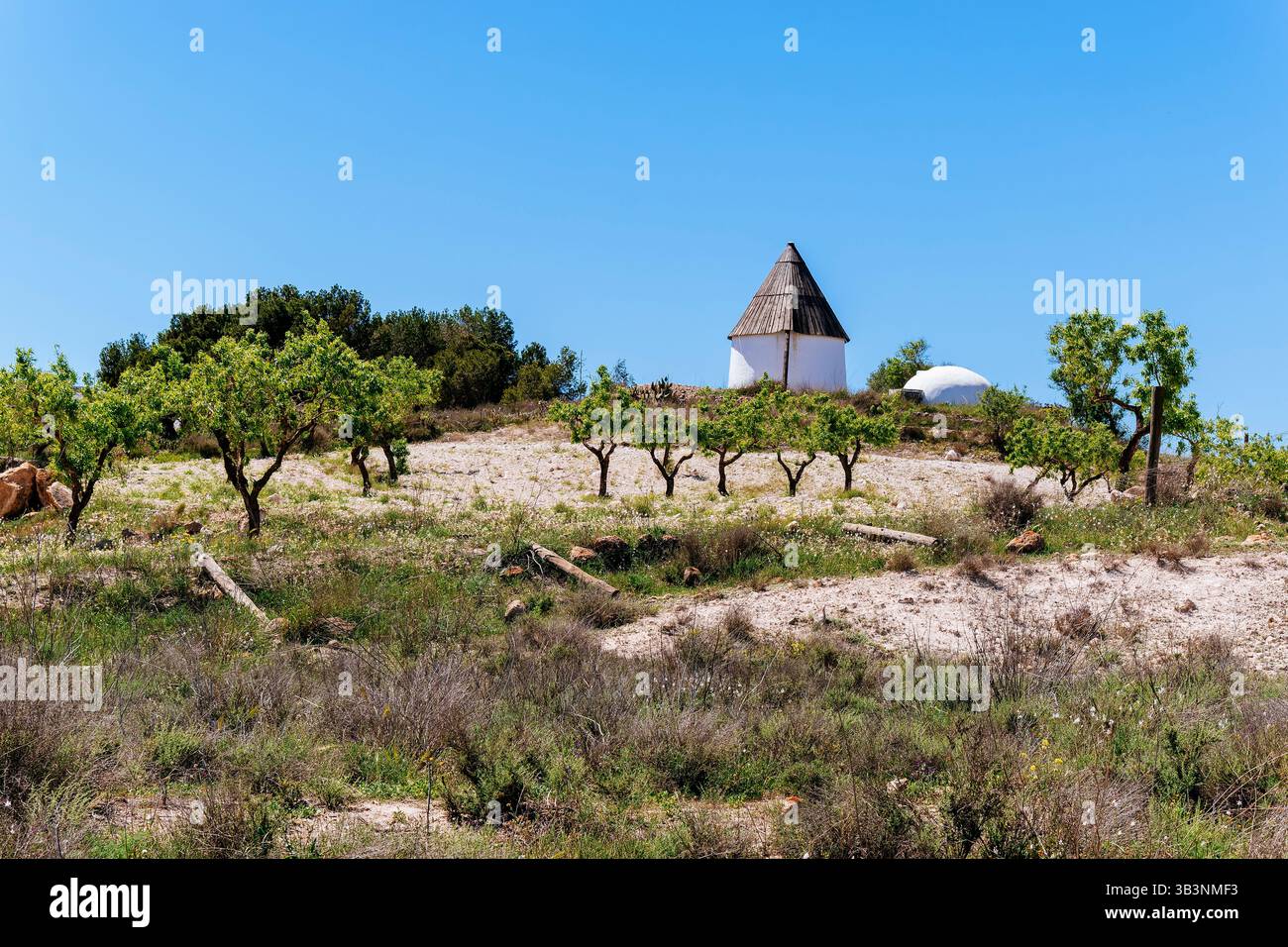 Moulin à vent traditionnel au sommet d'une colline. Fernán Pérez, Níjar, Almería, Andalucía, Espagne, Europe Banque D'Images