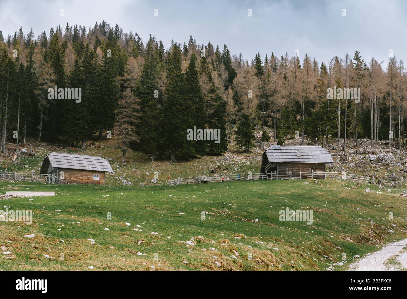 Planina podvežak, Slovénie 27.4,2025. Cabanes traditionnelles en bois à Planina Podvežak, entourées de prairies alpines et de forêts denses slovènes. Banque D'Images
