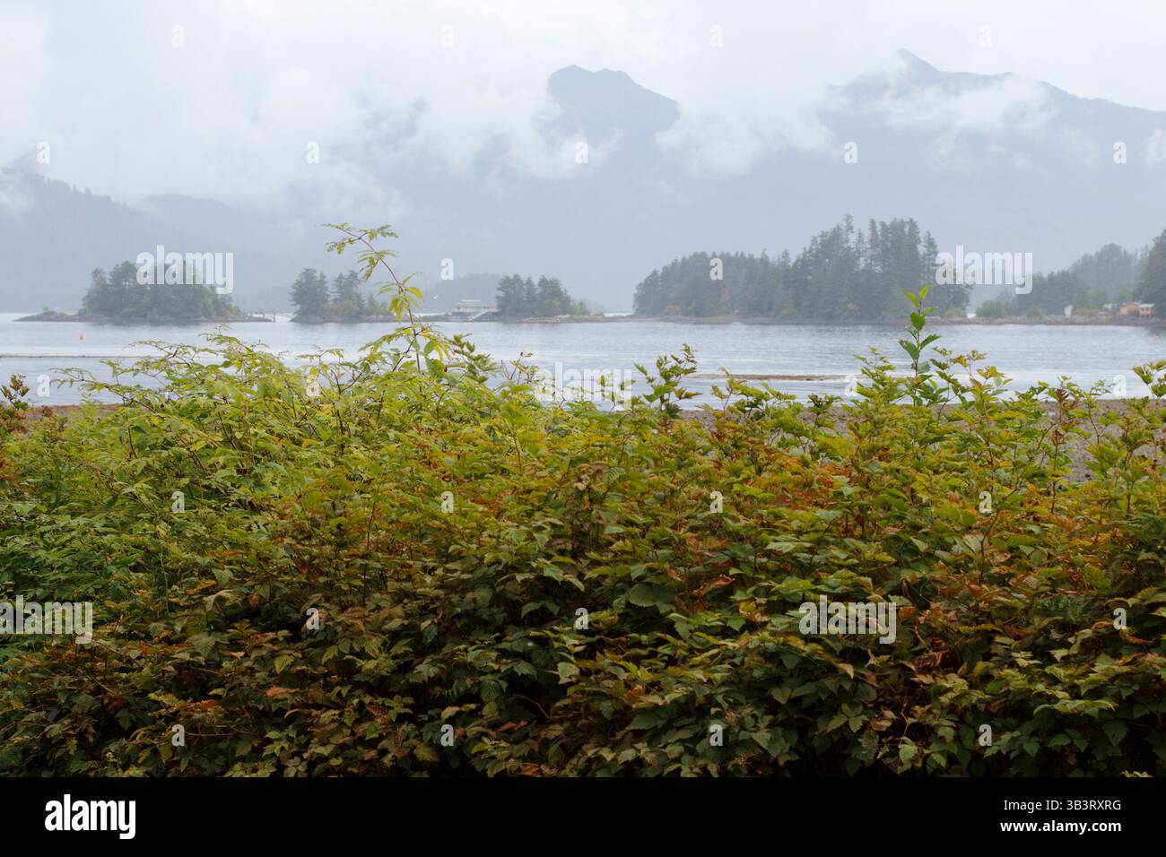 Une végétation luxuriante encadre un lac serein entouré de brume avec des îles forestières lointaines par temps nuageux. Sitka Alaska paysage brouillard nuages montagnes à Cres Banque D'Images