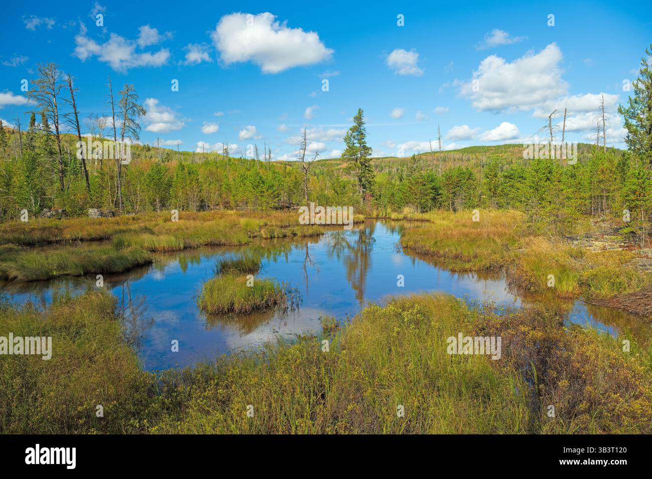 Minuscule étang au cœur des North Woods dans le Magnetic Rock Trail dans le Minnesota Banque D'Images