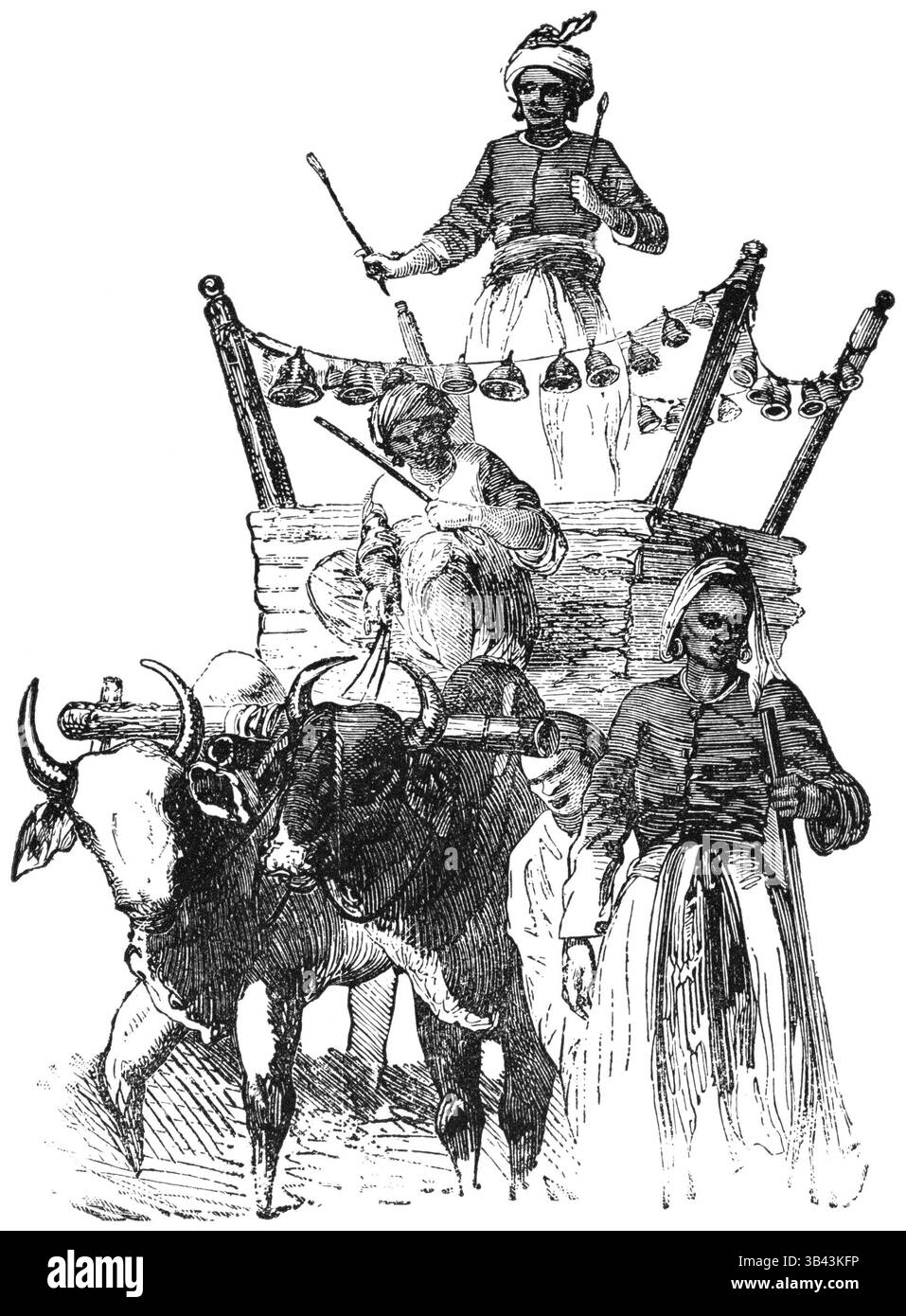 21 janvier 2015 - chariot, transport, divertissement, bœufs, historique, (crédit image : © Glasshouse via ZUMA Wire) Banque D'Images