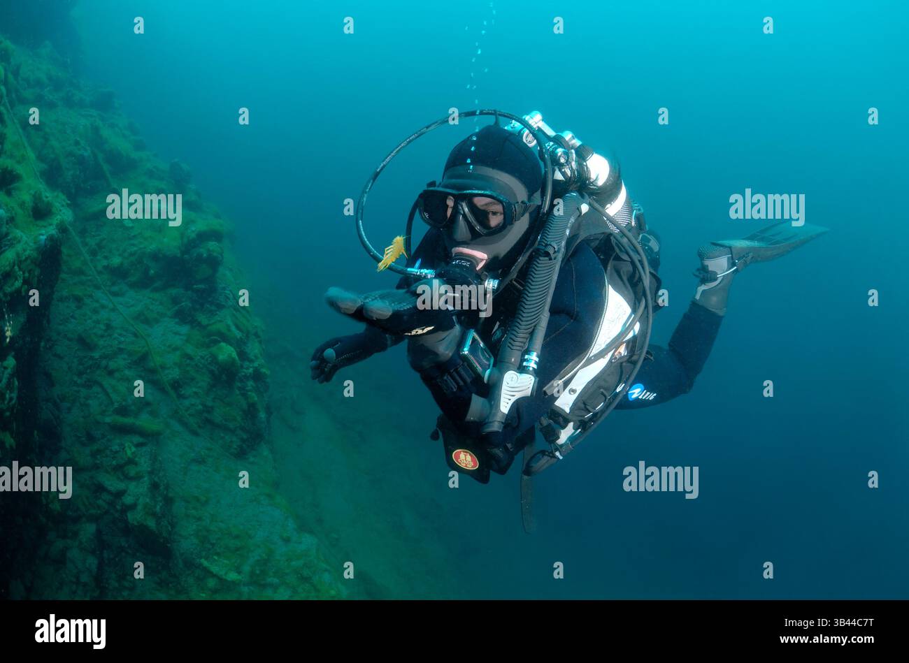 15 octobre 2014 - Sibérie, Russie - plongeur et Gammarus (Eulimnogammarus verrucosus), Lac Baïkal, Sibérie, Fédération de Russie, Eurasie. (Crédit image : © Andrey Nekrasov/ZUMA Wire/ZUMAPRESS.com) Banque D'Images
