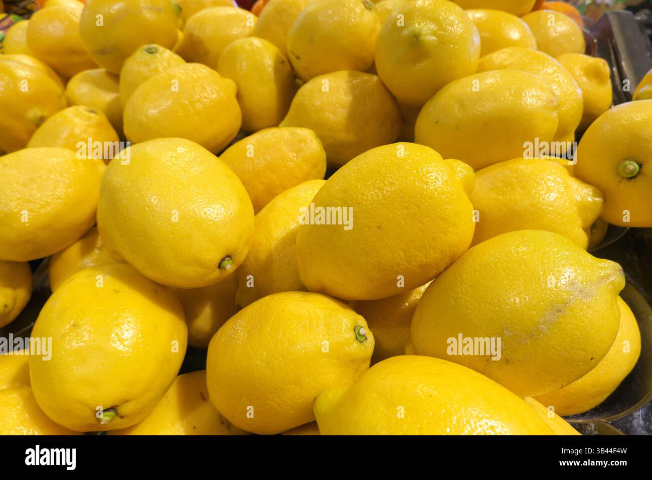 Citrons (Citrus limon) - les agrumes sont une bonne source de vitamine C- offert en vente sur les étagères d'une épicerie au Canada. Banque D'Images