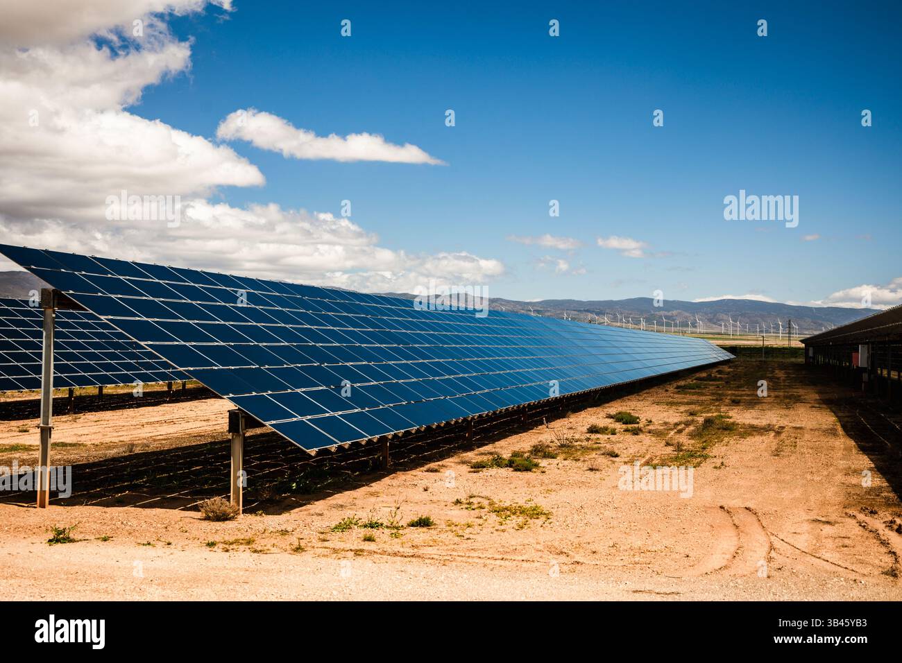 Une vue latérale dynamique d'un panneau solaire à grande échelle installé sur un terrain ensoleillé avec des montagnes au loin et des éoliennes parsemant l'horizon Banque D'Images