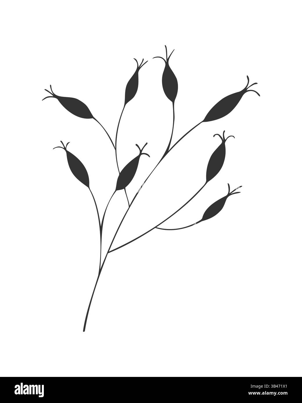 Silhouette de branches de Rosehips sur fond blanc. Rosehips ou roses, récolte, source de vitamine C. doodle dessiné à la main. Illustration vectorielle Illustration de Vecteur