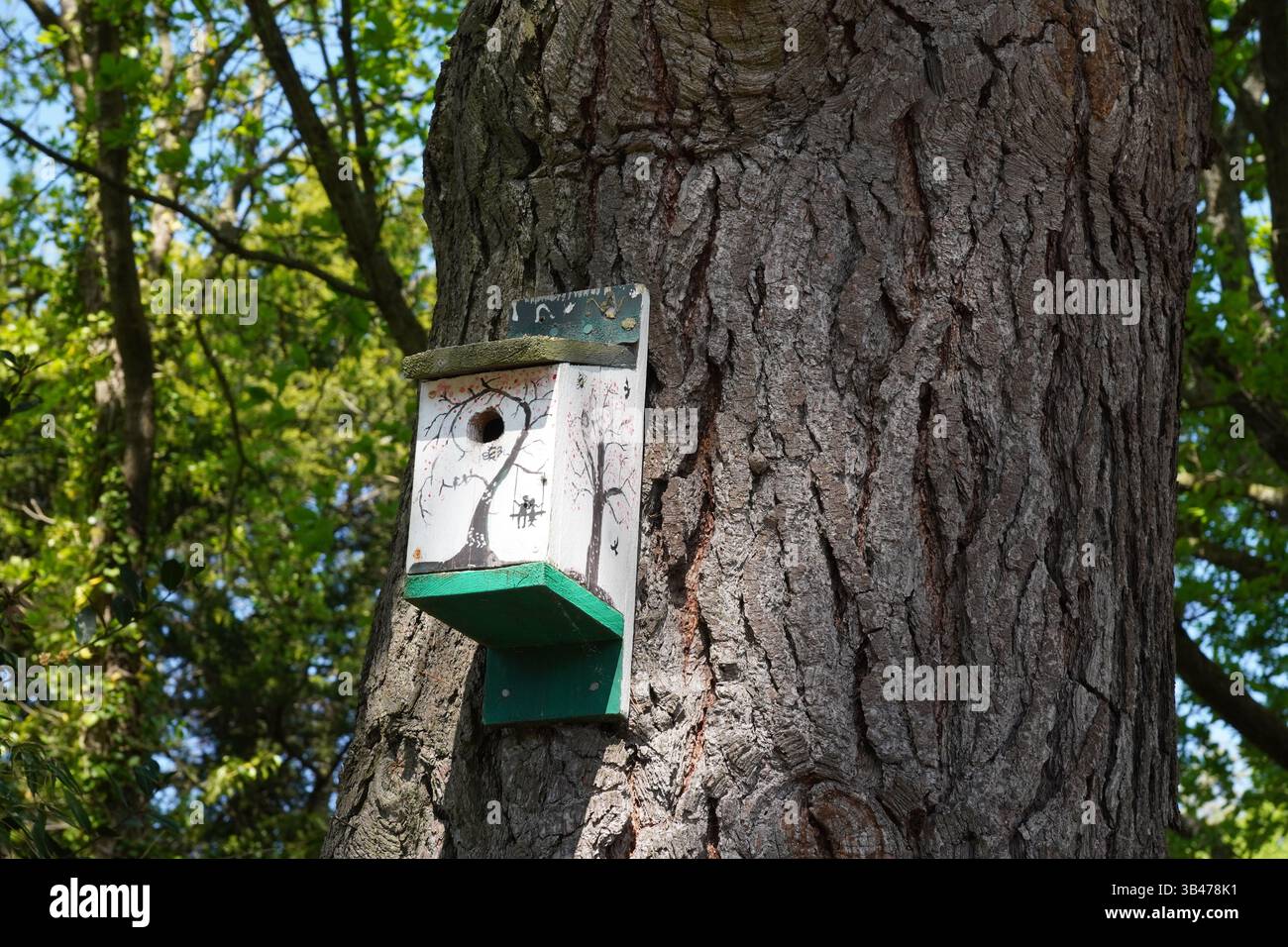 maison d'oiseaux en bois sur l'arbre dans le jardin. abri pour casier à oiseaux Banque D'Images