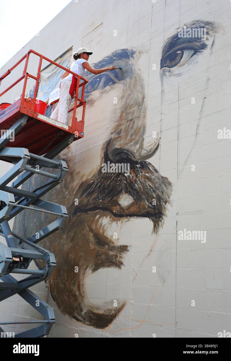 24 août 2015 - Petersburg, Florida, U.S. - L'artiste CARRIE JADUS, 39, de préparé Petersburg, travaille sur une murale appelée ''résonance'', qui montre le portrait de l'inventeur Nikola Tesla, connu pour sa conception du système d'alimentation électrique à courant alternatif. La murale se trouve sur le côté est du siège de CreativeGenius, actuellement en construction à Pétersbourg au 2232 5e Avenue Sud. (Crédit image : © Scott Keeler/Tampa Bay Times via ZUMA Wire) Banque D'Images
