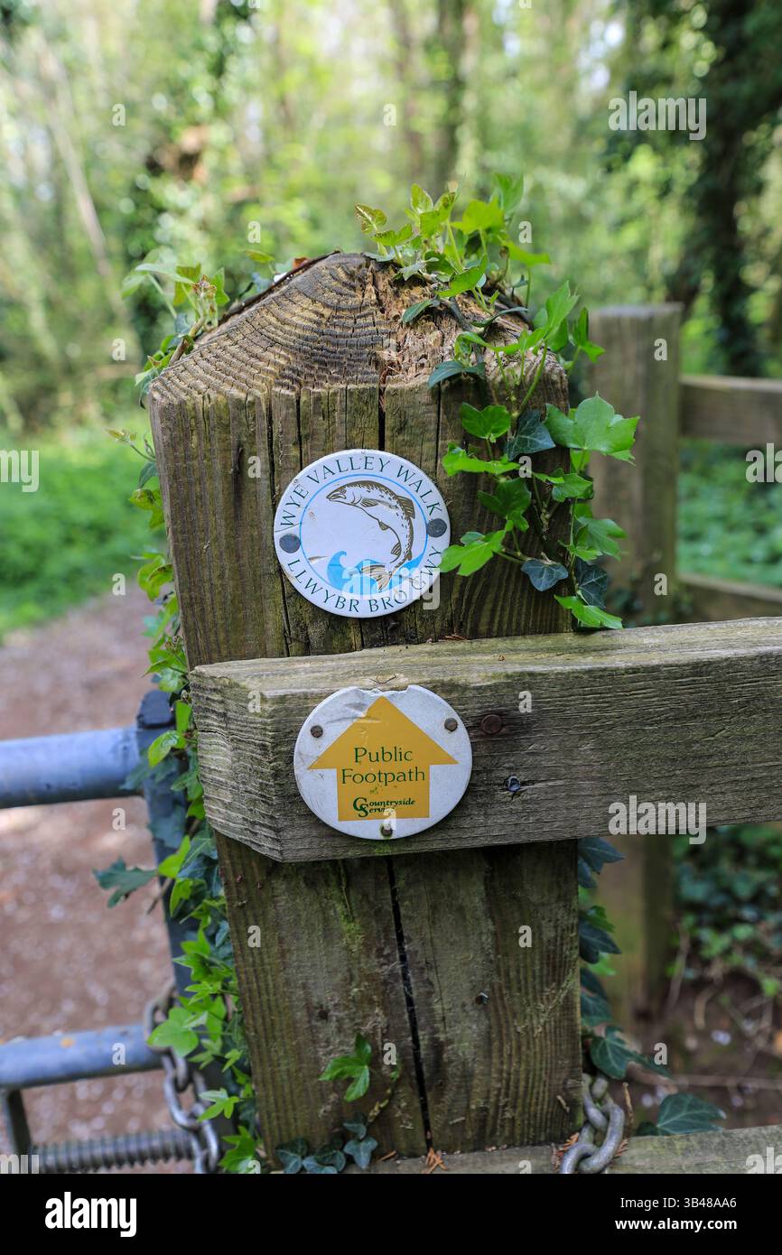 Panneaux et flèches de signalisation sur le sentier public de Wye Valley Walk, Herefordshire, Angleterre, Royaume-Uni Banque D'Images