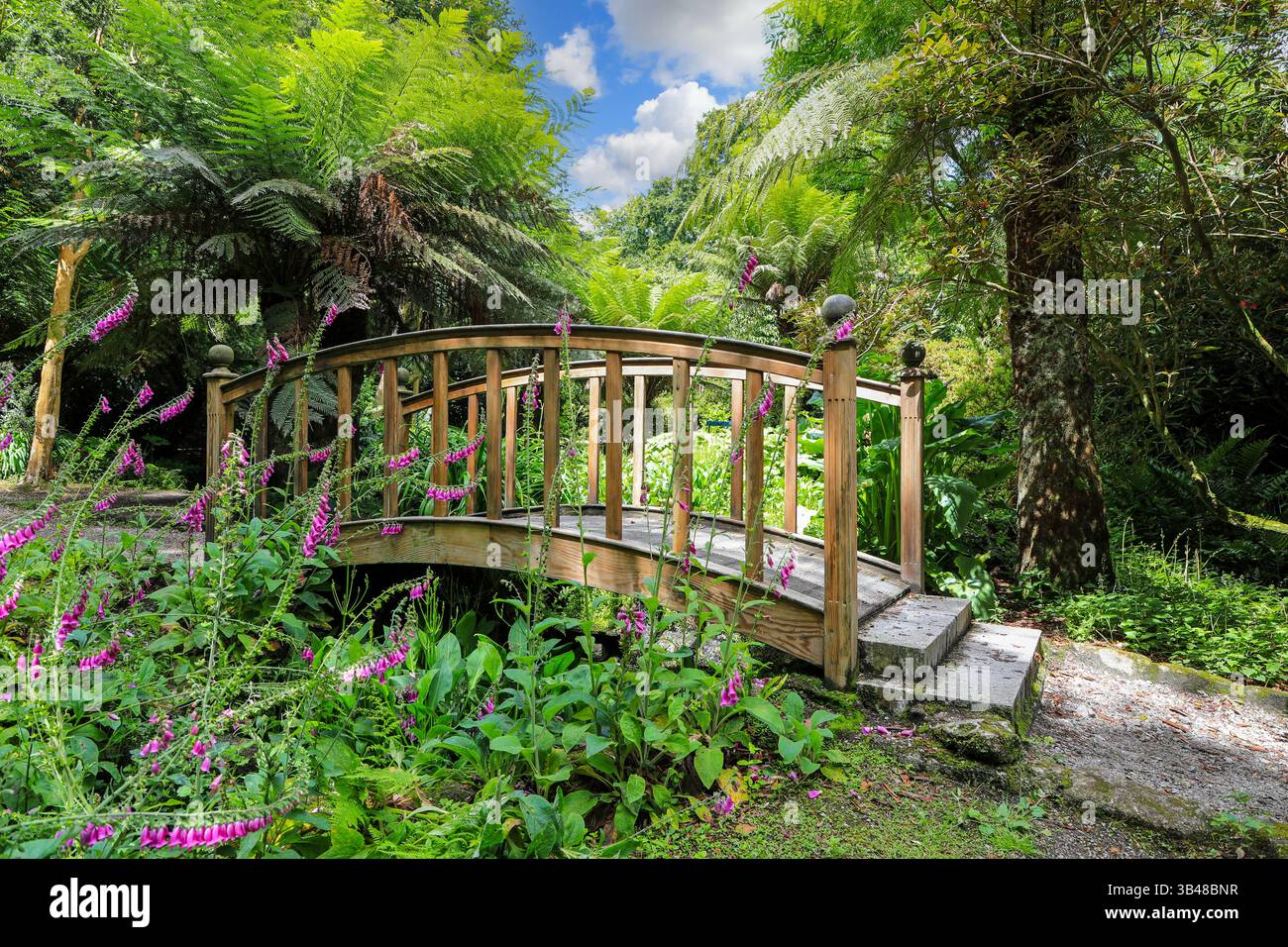 Un pont en bois à Trengwainton Gardens, Cornwall, Angleterre, Royaume-Uni Banque D'Images