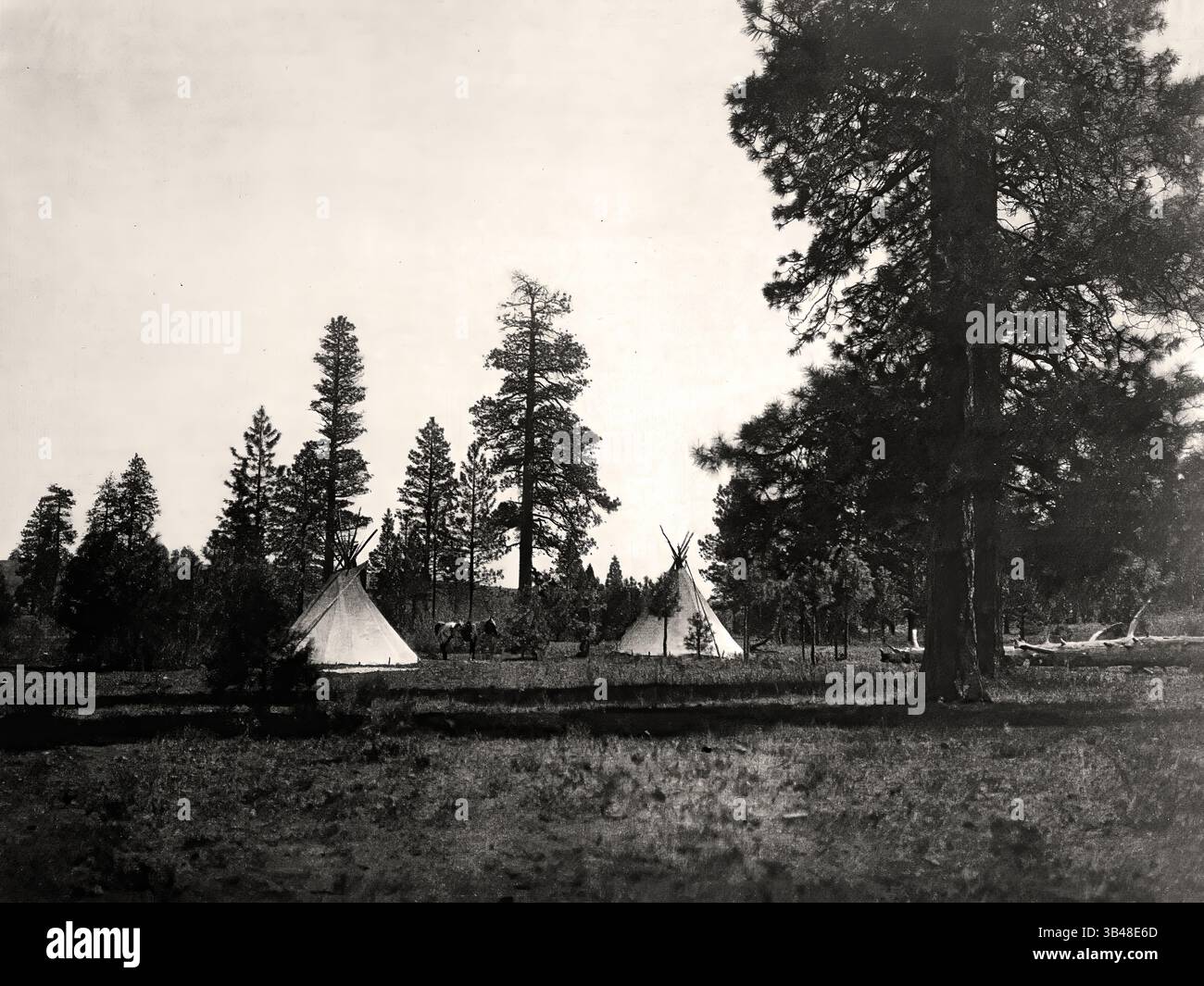 Edward Curtis (1868-1952) Camp de montagne de la tribu Yakima - 1910 Banque D'Images