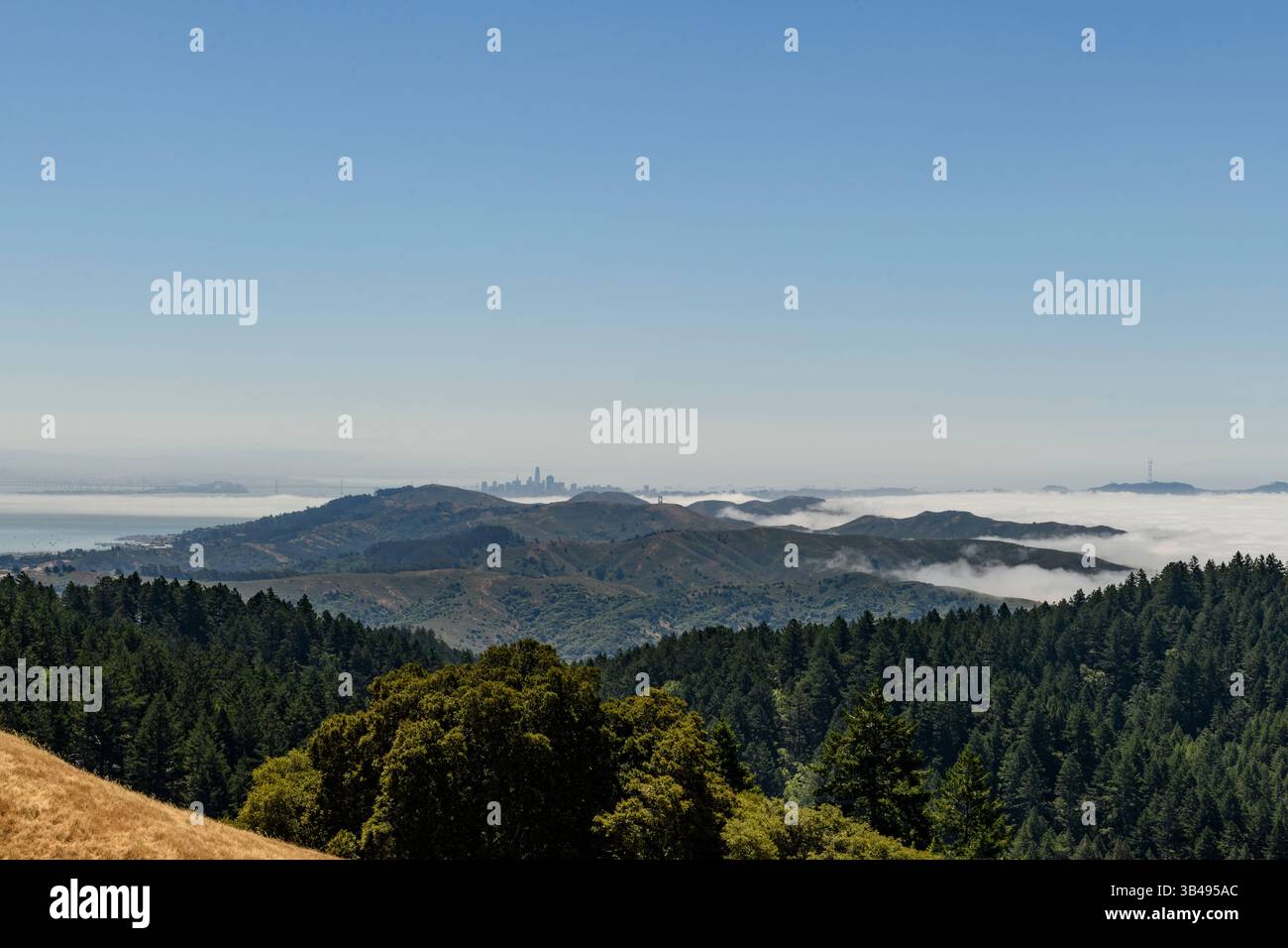 Vue lointaine de l'horizon de San Francisco vu du sommet d'une montagne dans les Marin Headlands, au nord de la Californie. Banque D'Images