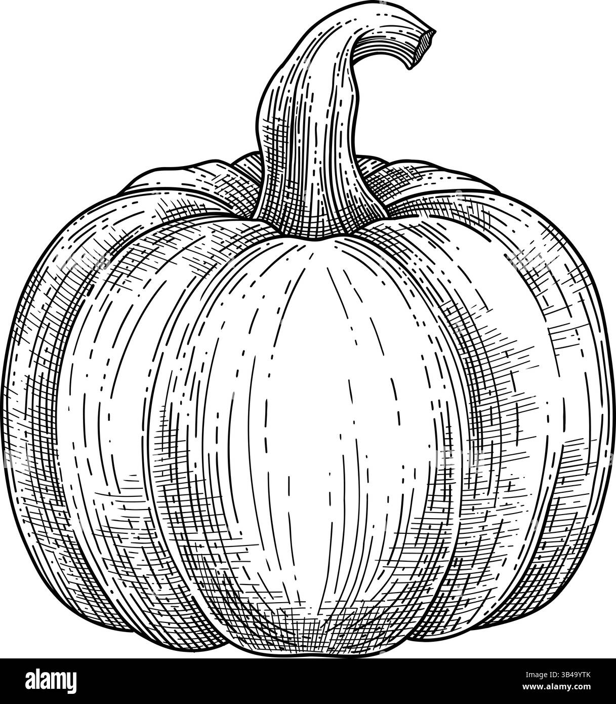 Croquis écrasés. Variété de dessin de citrouille feuilles de citrouille dessins à la main, doodle rétro vintage gourde saison d'automne légumes charcuterie d'automne, ingénieux Illustration de Vecteur